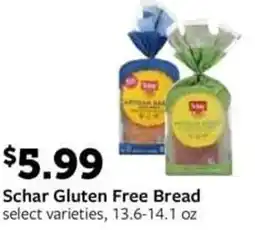 Fareway Schar Gluten Free Bread offer