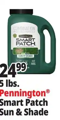 Ocean State Job Lot Pennington Smart Patch Grass Seed Fertilizer Mulch 5 lbs offer