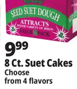 Ocean State Job Lot Seed & Suet High Energy Suet Value Pack 8 Count offer