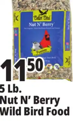 Ocean State Job Lot Better Bird Premium Nut N' Berry Bird Food 5 lbs offer