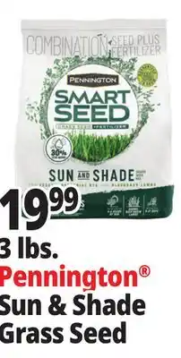 Ocean State Job Lot Pennington Smart Seed Sun & Shade Grass Seed 3 lbs offer