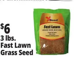 Ocean State Job Lot 3 lbs. Fast Lawn Grass Seed offer