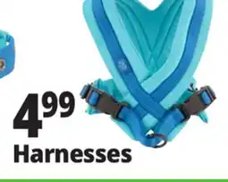 Ocean State Job Lot Harnesses offer