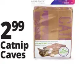 Ocean State Job Lot Catnip Caves offer