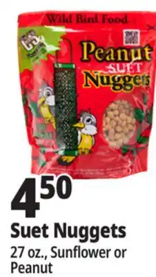 Ocean State Job Lot Suet Nuggets offer
