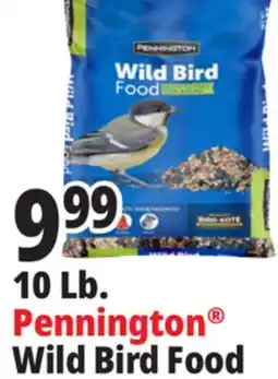 Ocean State Job Lot Pennington Wild Bird Food 10 lbs offer