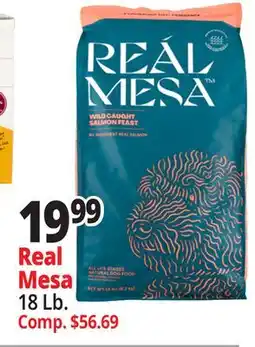 Ocean State Job Lot Real Mesa offer