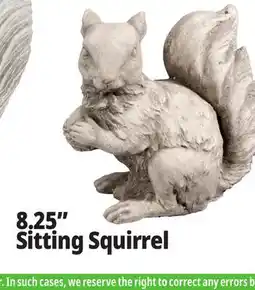 Ocean State Job Lot Squirrel Cement Statue Gray offer