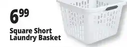 Ocean State Job Lot Square Short Laundry Basket offer