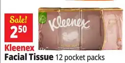 Ocean State Job Lot Kleenex Ultra Soft Pocket Pack Face Tissues 12 Count offer