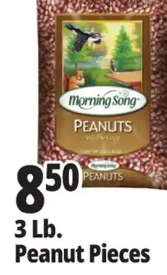 Ocean State Job Lot Audubon Peanut Pieces Bird Seed 3lb offer