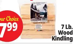 Ocean State Job Lot Ossipee Mountain Firewood Kindling offer