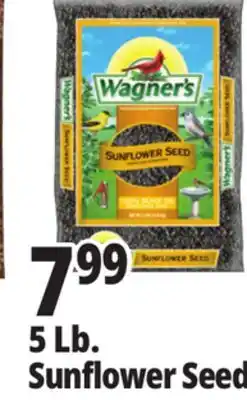 Ocean State Job Lot Wagner's Black Oil Sunflower Seed Wild Bird Food 5 lbs offer