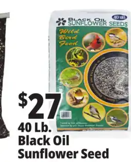 Ocean State Job Lot Black Oil Sunflower Seeds 40 lbs offer