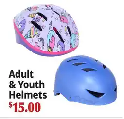 Ocean State Job Lot Adult & Youth Helmets offer