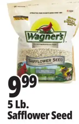 Ocean State Job Lot Wagner's Safflower Seed Deluxe Wild Bird Food offer