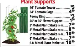 Ocean State Job Lot Plant Supports offer