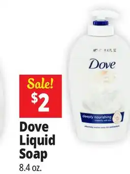 Ocean State Job Lot Dove Liquid Soap offer