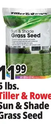 Ocean State Job Lot Tiller & Rowe Sun & Shade Grass Seed 5 lbs offer