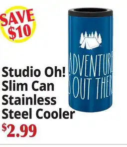 Ocean State Job Lot Studio Oh! Slim Can Stainless Steel Cooler offer