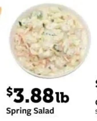 Fareway Spring Salad offer