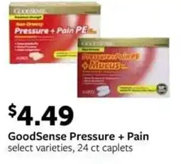 Fareway GoodSense Pressure + Pain offer