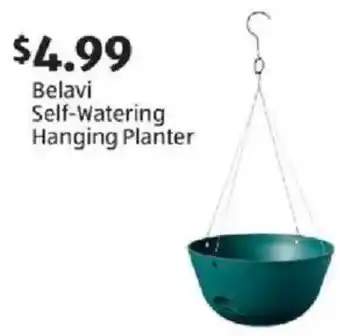 Belavi Self-Watering Hanging Planter