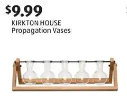 Aldi Kirkton house propagation vases offer