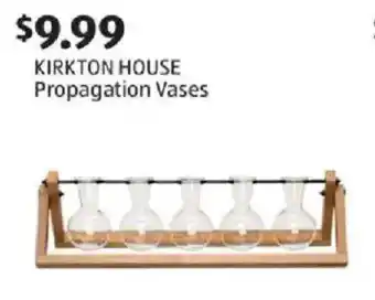 Kirkton house propagation vases
