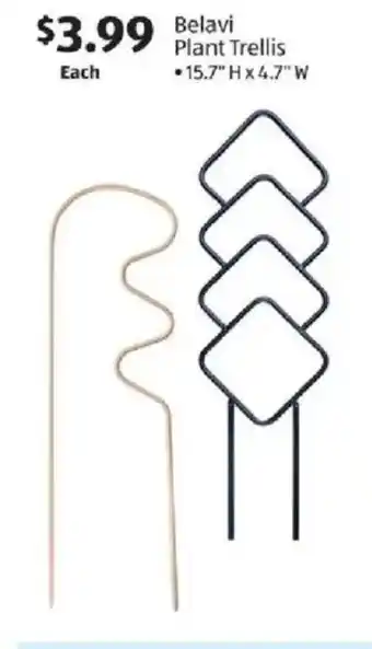 Belavi Plant Trellis