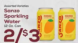DeCicco & Sons Sanzo Sparkling Water offer