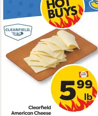 Weis Markets Clearfield American Cheese offer