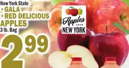 Bravo Supermarkets GALA, RED DELICIOUS APPLES offer