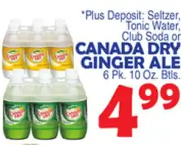 Bravo Supermarkets CANADA DRY GINGER ALE offer