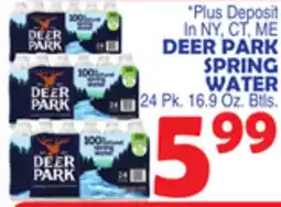 Bravo Supermarkets DEER PARK SPRING WATER offer