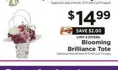 ShopRite Blooming Brilliance Tote offer