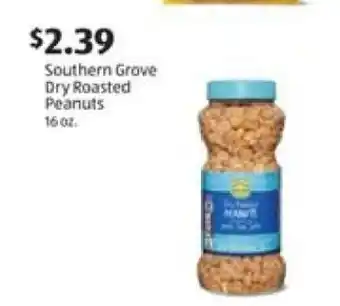 Southern Grove Dry Roasted Peanuts