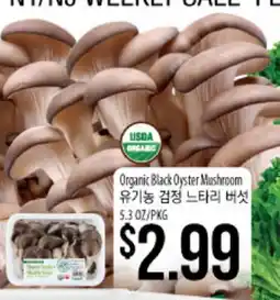 Hmart Organic Black Oyster Mushroom offer