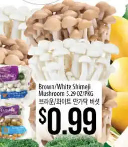 Hmart Brown/White Shimeji Mushroom offer