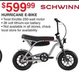 Dunham's Sports SCHWINN HURRICANE E-BIKE offer