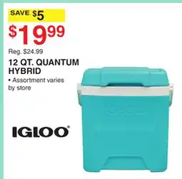 Dunham's Sports IGLOO 12 QT. QUANTUM HYBRID offer