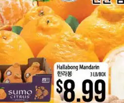 Hmart Hallabong Mandarin offer