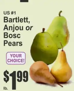 Food Universe US #1 Bartlett, Anjou or Bosc Pears offer