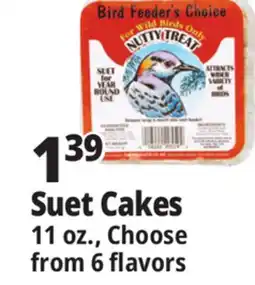 Ocean State Job Lot Bird Feeder's Choice High Energy Suet 11 oz offer