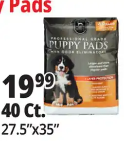 Ocean State Job Lot Huntington Pet Products Professional Grade 27.5 x 35 Puppy Pads with Odor Eliminators 40 Count offer