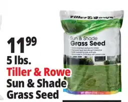 Ocean State Job Lot Tiller & Rowe Sun & Shade Grass Seed 5 lbs offer