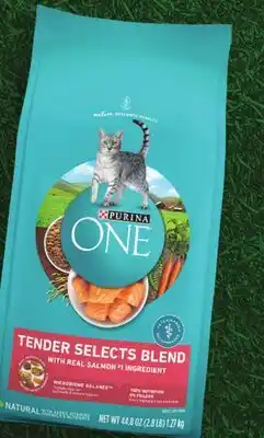 Family Dollar Purina ONE Indoor Advantage or Tender Selects Dry Cat Food offer