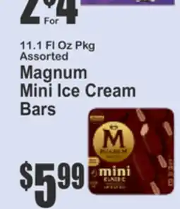 Key Food Magnum Mini Ice Cream Bars offer