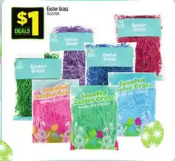 Dollar General Easter Grass offer