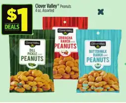 Dollar General Clover Valley Peanuts offer